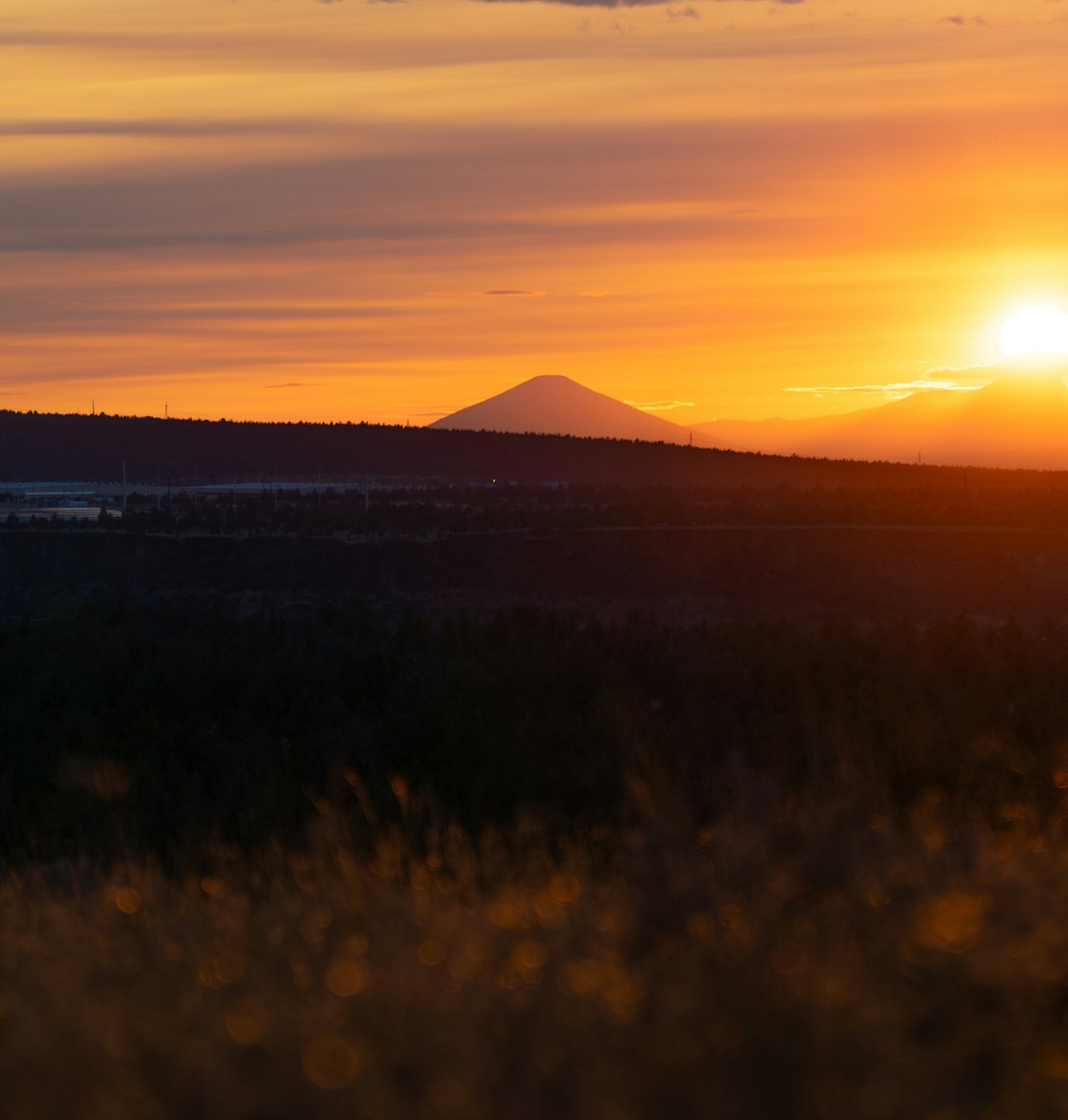 rehab in oregon